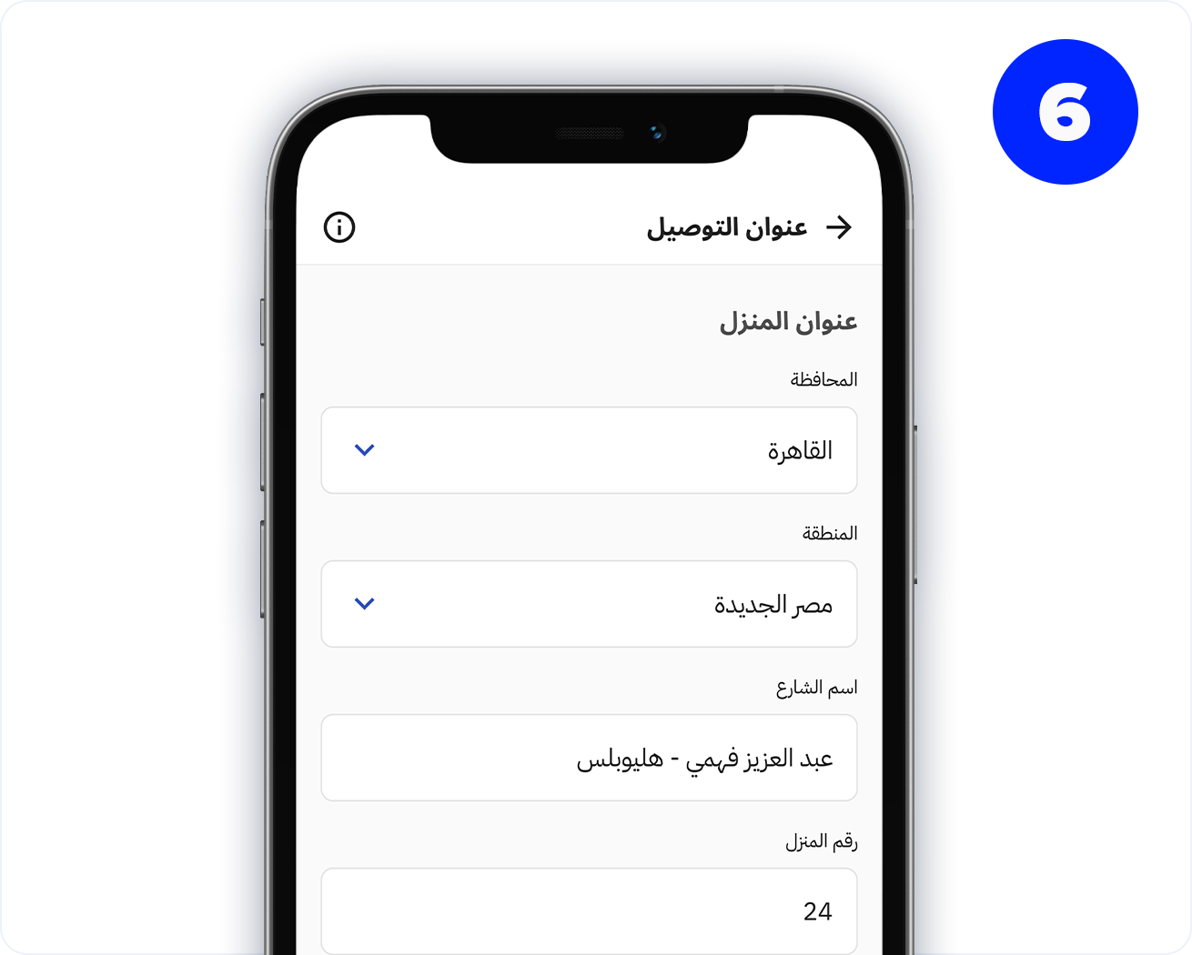 6 (3)